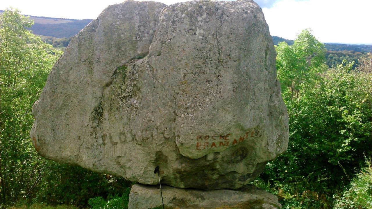 Lilas, Gite Saint Antoine, Orcival, Entre Sancy Et Volcans. Exteriör bild